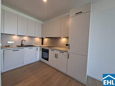 Terrassenwohnung mieten in 1020 Wien (Bild 3)