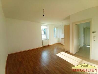 Wohnung mieten in 2565 Neuhaus (Bild 1)