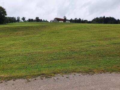 Grundstück provisionsfrei kaufen in 3340 Waidhofen