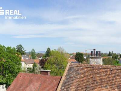 Wohnung kaufen in 2700 Wr. Neustadt (Bild 1)