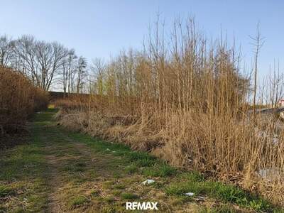 Grundstück kaufen in 4923 Lohnsburg