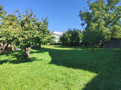 Haus kaufen in 4223 Katsdorf (Bild 2)