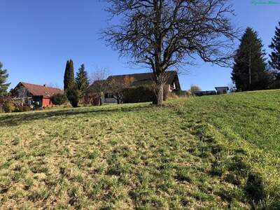 Grundstück kaufen in 8045 Weinitzen (Bild 3)