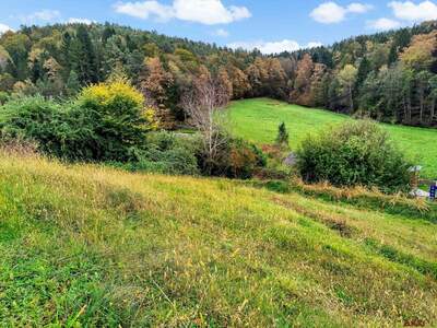 Grundstück kaufen in 8075 Hart (Bild 1)