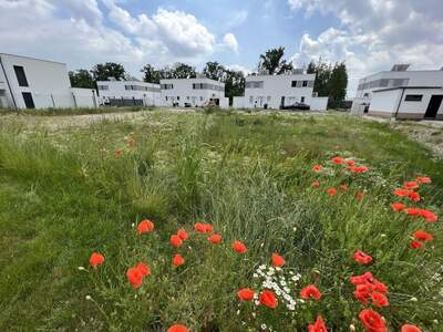 Grundstück kaufen in 4470 Enns