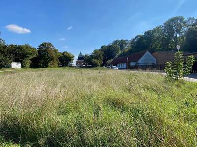 Grundstück kaufen in 2191 Pellendorf