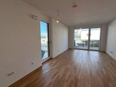 Apartment provisionsfrei mieten in 2460 Niederösterreich