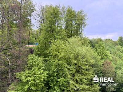 Wohnung kaufen in 4800 Attnang (Bild 4)