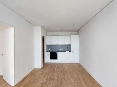 Terrassenwohnung mieten in 1220 Wien (Bild 1)