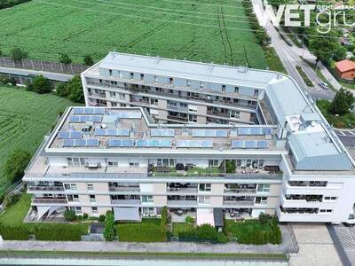 Wohnung mieten in 2361 Laxenburg