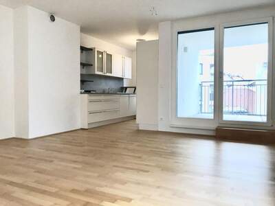 Terrassenwohnung mieten in 1230 Wien (Bild 1)