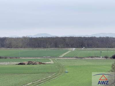 Gewerbeobjekt kaufen in 2263 Waidendorf