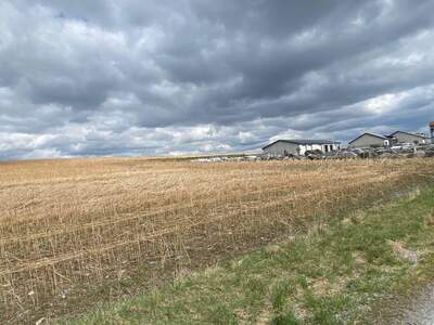 Gewerbeobjekt kaufen in 3613 Els (Bild 5)