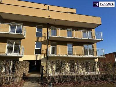 Mehrfamilienhaus kaufen in 8401 Kalsdorf (Bild 3)