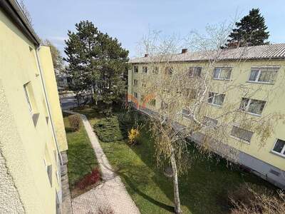 Wohnung kaufen in 2351 Wiener Neudorf