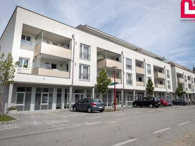 Gewerbeobjekt mieten in 4484 Kronstorf (Bild 3)