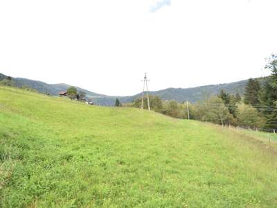 Gewerbeobjekt kaufen in 9543 Arriach (Bild 1)