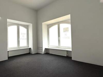 Gewerbeobjekt mieten in 1070 Wien (Bild 1)