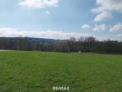 Grundstück kaufen in 4942 Wippenham