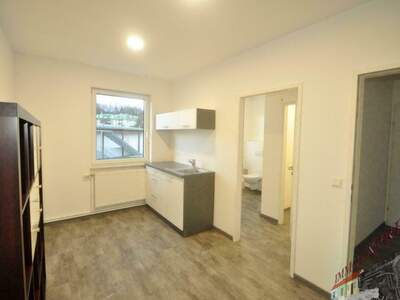 Gewerbeobjekt mieten in 3100 St. Pölten (Bild 4)