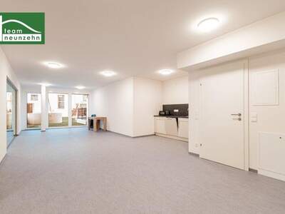 Terrassenwohnung kaufen in 1220 Wien (Bild 2)