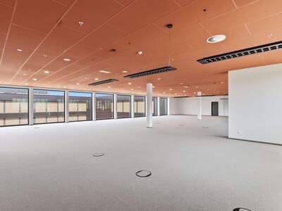 Gewerbeobjekt mieten in 6922 Wolfurt (Bild 2)
