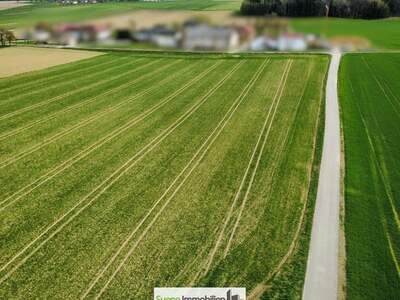 Gewerbeobjekt kaufen in 4654 Bad Wimsbach