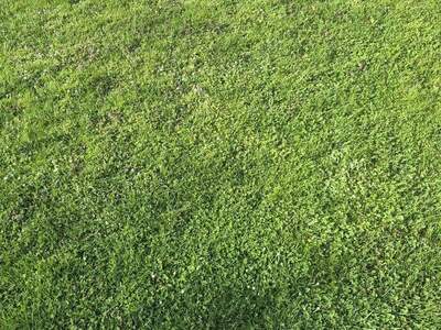 Grundstück kaufen in 2020 Hollabrunn