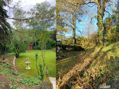 Haus kaufen in 2163 Ottenthal (Bild 3)