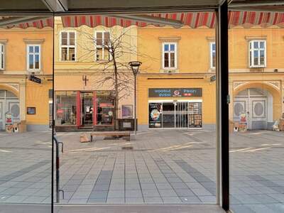 Gewerbeobjekt mieten in 2700 Wiener Neustadt (Bild 5)