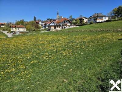Grundstück kaufen in 4372 Sankt Georgen