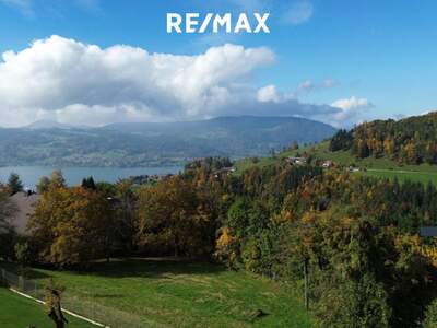 Grundstück kaufen in 4853 Steinbach (Bild 5)