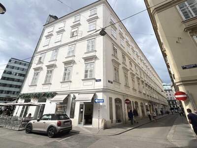 Altbauwohnung kaufen in 1010 Wien (Bild 1)
