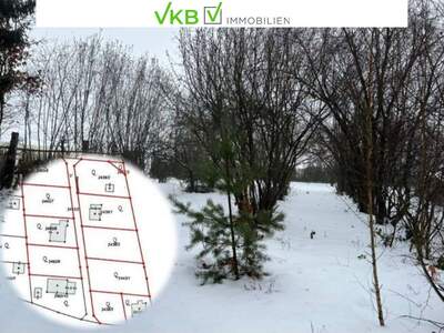 Grundstück kaufen in 4211 Spattendorf