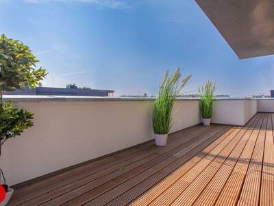 Terrassenwohnung mieten in 2320 Schwechat (Bild 5)