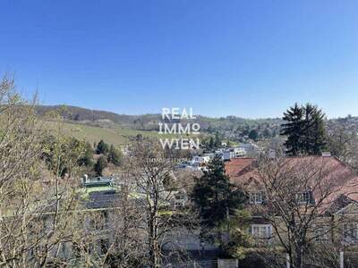 Wohnung mieten in 1190 Wien