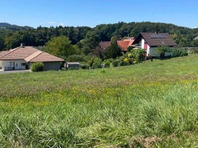 Grundstück kaufen in 8461 Ehrenhausen (Bild 2)