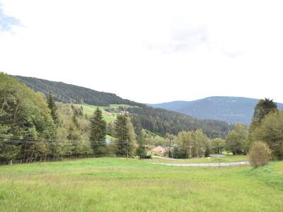 Gewerbeobjekt kaufen in 9543 Arriach (Bild 3)