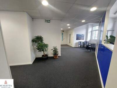 Gewerbeobjekt mieten in 5020 Salzburg (Bild 3)