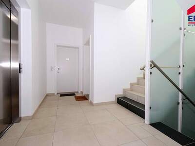 Anlageobjekt kaufen in 2130 Mistelbach (Bild 4)