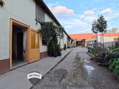 Grundstück kaufen in 2482 Münchendorf (Bild 4)