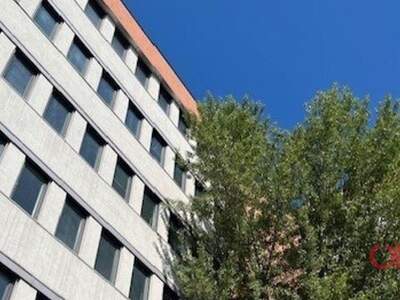 Gewerbeobjekt mieten in 1210 Wien (Bild 3)