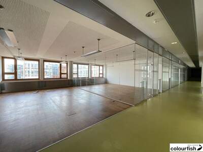 Gewerbeobjekt mieten in 1010 Wien (Bild 4)