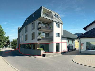 Gewerbeobjekt kaufen in 4880 St. Georgen