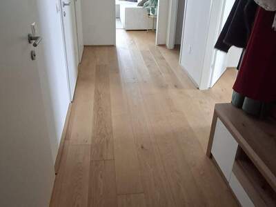 Apartment provisionsfrei kaufen in 1020 Wien