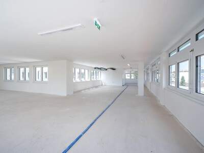 Gewerbeobjekt mieten in 1130 Wien (Bild 2)