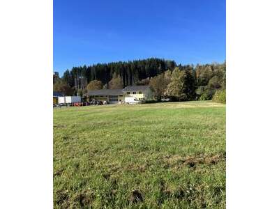 Grundstück kaufen in 8820 Neumarkt