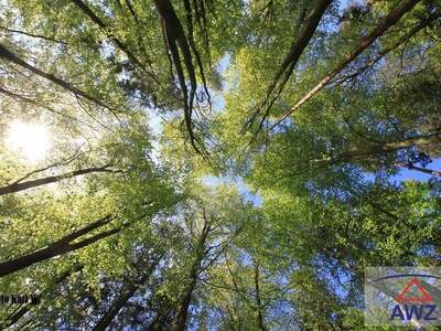 Grundstück kaufen in 5231 Kobernaußerwald