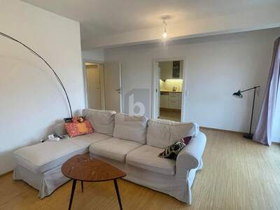 Wohnung kaufen in 4203 Altenberg