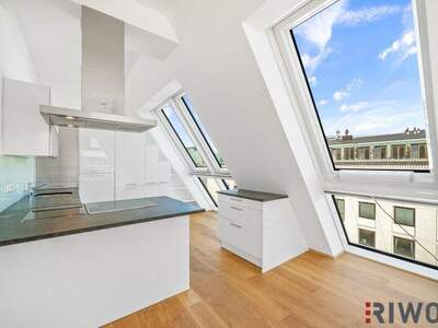 Terrassenwohnung kaufen in 1010 Wien (Bild 4)
